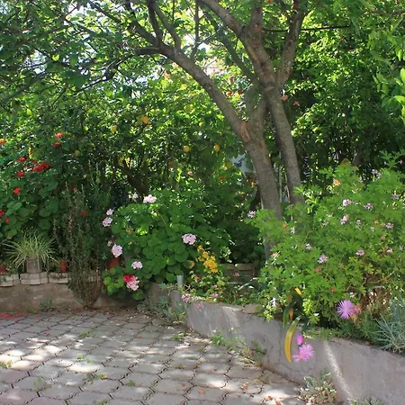 Apartamento With Parking Space Orebic, Peljesac - 10093